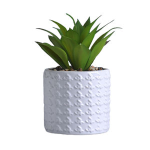 Minimaceta de cerámica de estilo mejicano para el hogar y el jardín, maceta para suculentas, maceta para flores, escritorio de oficina, venta al por mayor - Product Image 4