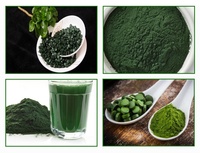 Comprimés de Chlorelle et Spiruline en Gros – Complément Nutritionnel, Poudre de Spiruline, Comprimés de Spiruline