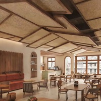 Panneau de plafond décoratif en rotin naturel tressé antistatique, idéal pour la maison, le commerce, les cafés et les restaurants