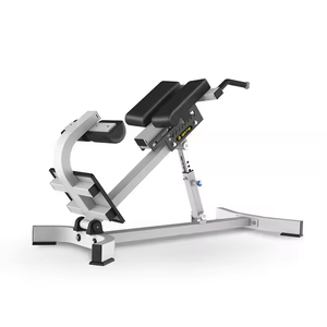 Silla Romana de Alta Resistencia con Inclinación de 45 Grados, Banco de Hiperextensión, Venta Directa de Fábrica, Bajo MOQ, OEM, Entrenador de Espalda para Gimnasio Comercial - Product Image 2