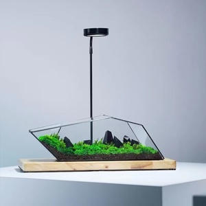 Every Love Vente en gros Herbier (S) ZERO Boîte de collection botanique pour <span class=keywords><strong>terrarium</strong></span> en mousse préservée - Product Image 2