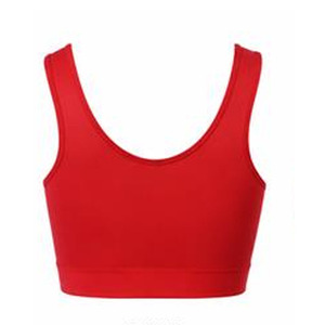 Soutien-gorge de sport léger et de qualité supérieure pour femme, maintien élevé, bretelles, logo frontal, séchage rapide, vêtements de fitness, fournisseur en gros de soutiens-gorge de sport pour femme - Product Image 5