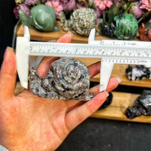 Kindfull, gran oferta, cristales naturales de alta calidad, mezcla de materiales, <span class=keywords><strong>caracol</strong></span> con calaveras para Decoración - Product Image 2