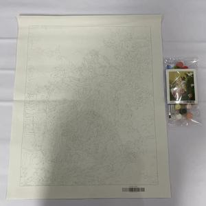 Kits de <span class=keywords><strong>peinture</strong></span> par numéros pour adultes, <span class=keywords><strong>peinture</strong></span> à la main, animaux, bricolage, coloriage par numéros, <span class=keywords><strong>girafe</strong></span> avec éléphant, image 40*50 sans cadre - Product Image 4