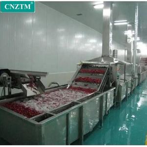 Línea <span class=keywords><strong>de</strong></span> Producción Industrial Automática <span class=keywords><strong>para</strong></span> el Lavado, Blanqueado, Cocción y Congelación <span class=keywords><strong>de</strong></span> Camarones, Langostas, Langostinos y Cangrejos - Product Image 4