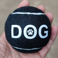 Balles de tennis pour animaux de compagnie, en peluche, classiques, modernes, sportives, durables, pas chères, qui couinent, pour l'entraînement canin, avec logo personnalisé, 63 mm, rebond de 100-120 cm, pour cadeaux promotionnels