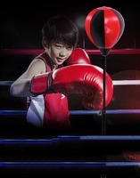 Nouveau produit Aofit : Sac de frappe réglable en hauteur pour l'entraînement MMA, équipement de boxe, équipement de fitness