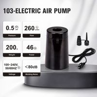 Pompe à air électrique mini en gros, alimentée en courant alternatif 110-240V, pompe à air à flux rapide pour gonflage et dégonflage de lit et canapé gonflables