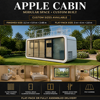 Maison conteneur moderne en forme de pomme de 20 pieds pour glacier, boulangerie, kiosque commercial, cuisine compacte, hôtel, appartement, villa