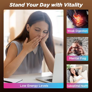 Chinaherbs cà phê Arabica hữu cơ hỗ trợ năng lượng hương vị dừa nhiều nấm pha trộn cà phê hòa tan tốt cho sức khỏe - Product Image 4