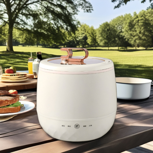 Maison petite cuisinière électrique intelligente cuisson <span class=keywords><strong>à</strong></span> la vapeur multifonctionnelle pour deux personnes cuisson mini cuisinière électrique - Product Image 2