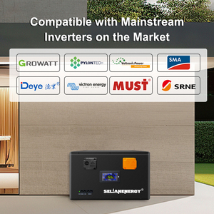 Selianenergy Eve mb56 DIY Kit 4S 12V 628ah 8kwh LiFePO4 DIY hộp pin với JK 4S 300A thông minh BMS cho Eve mb56 628ah tế bào - Product Image 2