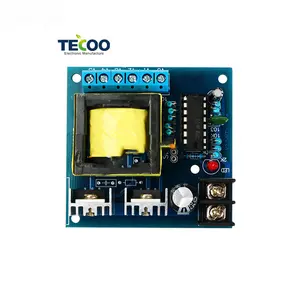 100W 150W 200W 300W 500W 1000W 12V/24V için 220V dönüştürücü DC AC trafo Boost invertör PCB kartı