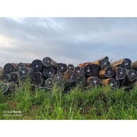 Vente en gros en usine de grumes de bois de ferme TALI panneau africain de haute qualité du Congo