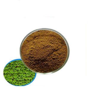 Hederacoside C de alta calidad/extracto de <span class=keywords><strong>hiedra</strong></span>/extracto de hoja de <span class=keywords><strong>hiedra</strong></span> - Product Image 1