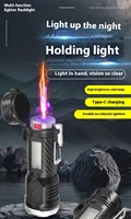 Briquet électrique portatif d'urgence pour l'extérieur Mini lampe de poche multifonctionnelle étanche rechargeable pour le camping