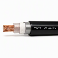 Câble électrique blindé en cuivre YJV22 0,6/1 kV 1 conducteur 50 mm² avec gaine en PVC pour projet de construction 1*50 mm²