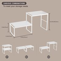 Étagère de rangement de cuisine multifonctionnelle à 1 niveau, style japonais, organisateur d'armoire, support de comptoir, étagère à épices en métal