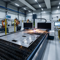 Découpe laser de tôles et usinage CNC, panneaux métalliques sur mesure, fabrication de câbles électroniques automobiles, fabrication par électro-érosion à fil, aluminium, acier inoxydable