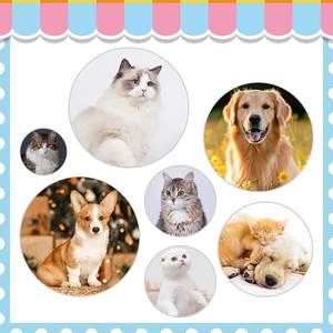 หวีและแปรงกำจัดขนสัตว์เลี้ยงแบบกดปุ่มเดียว คุณภาพสูง ทันสมัย เป็นมิตรต่อสิ่งแวดล้อม ผลิตจากพลาสติก สำหรับสุนัขและแมว ใช้สำหรับกรูมมิ่งและนวด - Product Image 3