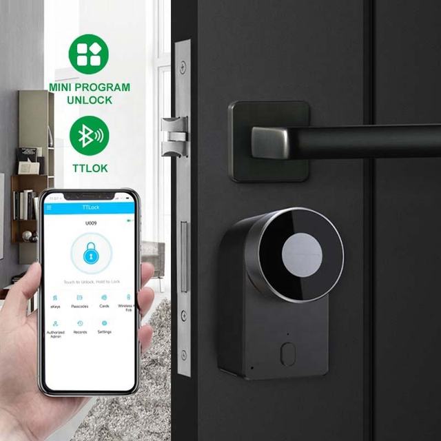 European Standard Electronic Smart Home Door Lock TTlock App Remote Control Front Door Bluetooth Cheap Lock