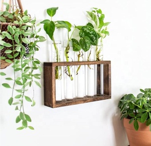 Support mural en bois pour plantes suspendues, station <span class=keywords><strong>de</strong></span> propagation en verre, vase en tube à essai, <span class=keywords><strong>pot</strong></span> <span class=keywords><strong>de</strong></span> fleurs écologique pour jardin - Product Image 2