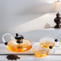 Théière moderne en verre borosilicate marocain, résistante à la chaleur, de qualité alimentaire, avec poignée colorée, carafe à café avec filtre, capacité 600 ml, faite à la main