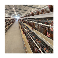 Équipement d'élevage avicole, cages à poules, performance optimale
