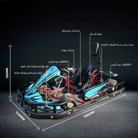 Karts électriques pour adultes et adolescents, moteurs différentiels commerciaux, transmission par arbre, karting de drift, frein à disque hydraulique arrière, 72V 45km/h