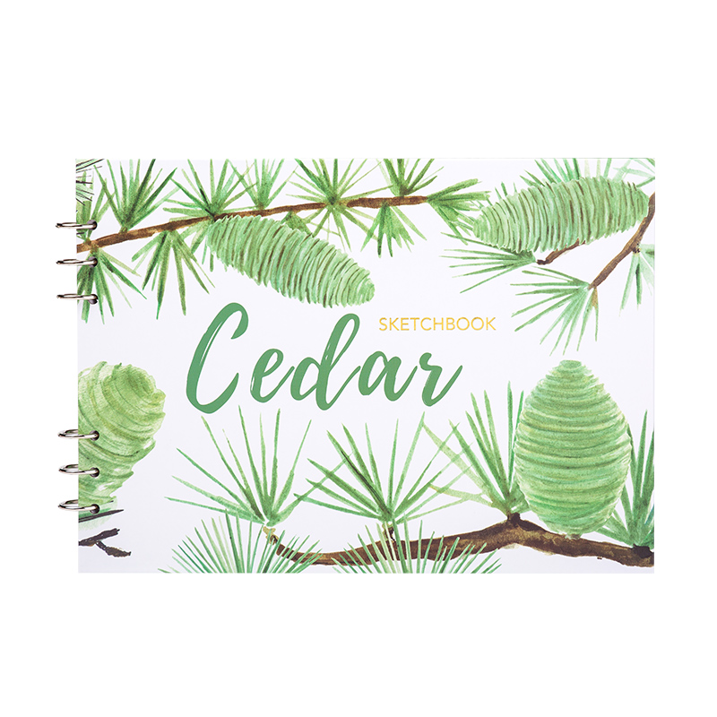 Жесткая обложка A4, прозрачная натуральная книга для рисования, школьные канцелярские товары, поддержка производителя, оптовая продажа скетчей