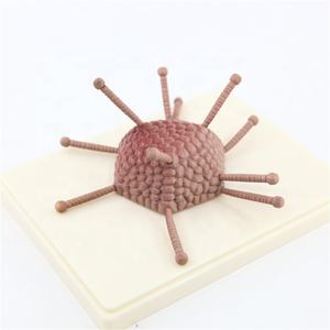 <span class=keywords><strong>Adenovirus</strong></span> modelo para mostrar la detallada cápside estructura - Product Image 6