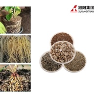 Vermiculite expansée de haute qualité 1-3mm 3-6mm pour substrat de semis horticoles, amendement du sol et croissance des plantes