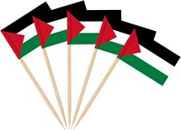 Drapeau et bannière imprimés en polyester Palestine 3x5 pieds, moins chers et de meilleure qualité