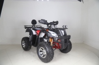 Quad Tao Motor 200cc 48V automatique, Tao Motor Bull 200 Quad ATV avec démarrage électrique EPA ECE, transmission par chaîne 2 roues motrices