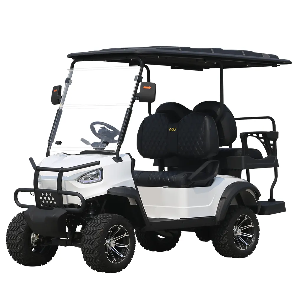 Scooter elétrico para mobilidade adulta, modelo de carro de golfe com certificação CE, tipo corpo aberto, com potência de 60V, marca adequada 1000w