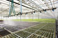 Goedkope Intelligente Landbouw Multi-span Glazen Kas Hydroponische Kas