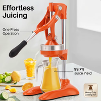 Groothandel zware handmatige citruspers sinaasappelpers fruitpersmachine OEM aangepaste logo voor thuis en commercieel gebruik
