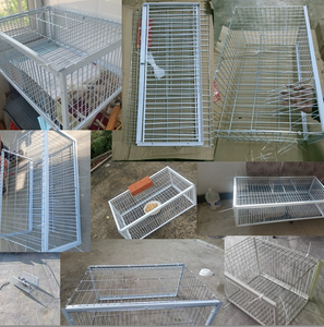 Katlanabilir galvanizli çeşitli boyut beyaz metal kuş tuzak kafesi