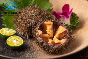 YITIOO Urchin de mer frais de haute qualité certifié HACCP, collation de fruits de mer semi-moelleux aromatisée à l'alcool, en boîte 100g/<span class=keywords><strong>plateau</strong></span>, provenant de Chine - Product Image 4