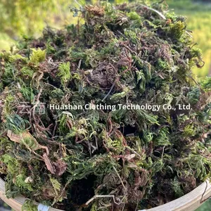 Bán Buôn Khối Lượng Lớn Giảm Giá Trên Xác Thực Hui Xin Cao Nguyên Khô Phong Cách Với Tiên Tiến Quá Trình Làm Khô - Product Image 4