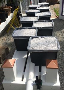 Un un gros hydroponique Bato néerlandais seau d'irrigation avec couvercles siphon coudes pour jardin culture fraises tomates - Product Image 4