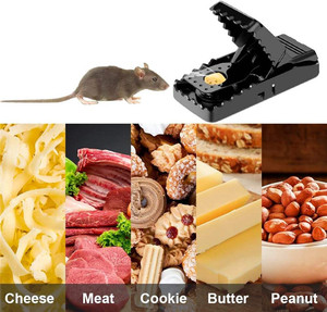 Hot Sell 6 Pack Plastic <b>Mouse</b> Trap Kill Fast <b>Mice</b> Rat Trap Reusable <b>Mouse</b> Snap Trap - Product Image 5