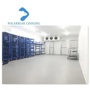 Logistik Sistem Chiller Ruang Dingin untuk Sayuran Buah/Susu/Daging/Daging Sapi/Telur/Ikan/Cutton