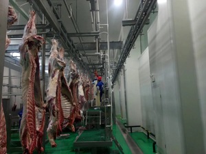 Bền gia súc abattoir thiết bị thịt bò giết mổ bò giết mổ máy cho slaughterhouse Máy chế biến thịt - Product Image 2