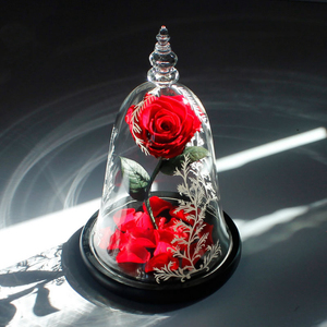 Yunnan Xuanyuze Tipo clásico Eternal Rose Glass <span class=keywords><strong>Bella</strong></span> <span class=keywords><strong>Bestia</strong></span> <span class=keywords><strong>Bella</strong></span> y <span class=keywords><strong>Bestia</strong></span> Real Forever Roses en cúpula <span class=keywords><strong>de</strong></span> vidrio - Product Image 3