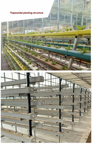 Sistema NFT vertical hidropónico de plástico para invernadero grande industrial con tubos dobles para cultivo de fresas - Product Image 5