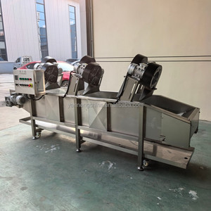 500kg/h <b>Top</b> Quality Fruit and Vegetable Processing Line Vegetable Washing Machine <b>Bubble</b> Vegetable Washing Machine On Sale - Product Image 5