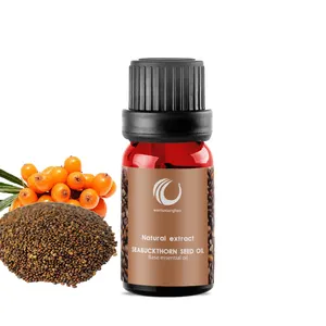 Melhor Qualidade Tratamento Grau Boost Immunity Cold Pressing Seabuckthorn Seed Oil para Queimaduras Skincare Bulk Price