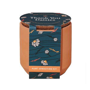 Vente chaude moderne 3000 Pc Kit de culture en <span class=keywords><strong>terre</strong></span> <span class=keywords><strong>cuite</strong></span> mignon petit Pot de fleur blanc avec merci marguerites pot de germination pour les jardins - Product Image 1