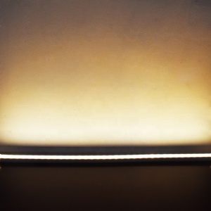 Barre LED murale ultra-mince 14 mm DC24V 1440Lm/m SMD5050 avec lentille flexible en silicone, étanche pour extérieur, pour contour <span class=keywords><strong>de</strong></span> bâtiment - Product Image 3